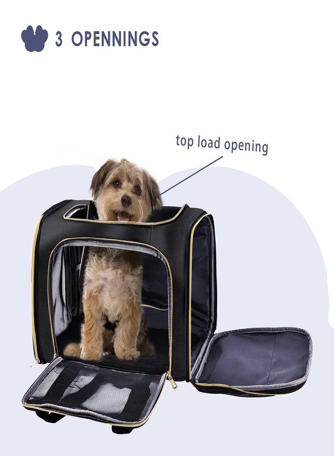 KIKA Pets Goldfinch Cat Bag Carrier | Small Dog Puppy Bag Carrier | Airline Dimension Approved Akasa - Medium Size (18 x 9.8 x 9.9 inches), Midnight Black - Image 4